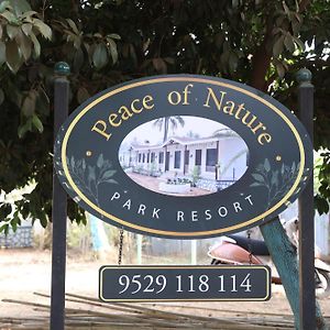 Peace Of Nature Reasort